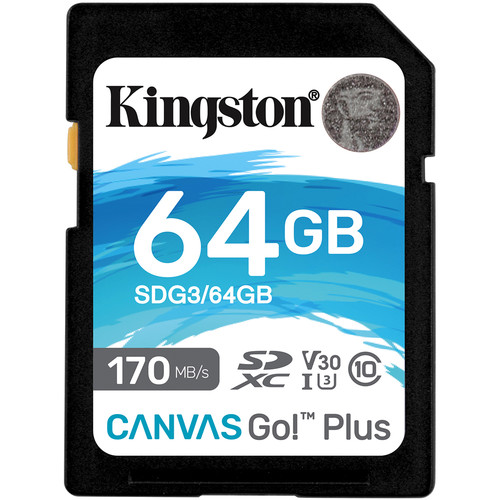 4362308_KINGSTON_SDG364GB.jpg-