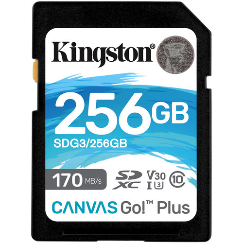 4362322_KINGSTON_SDG3256GB.jpg-