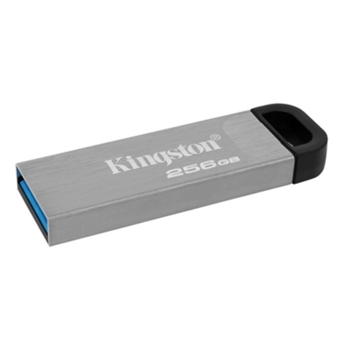 4803922_KINGSTON_DTKN256GB.jpg-