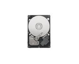 2373941_SEAGATE_ST3500312CSRF.jpg-