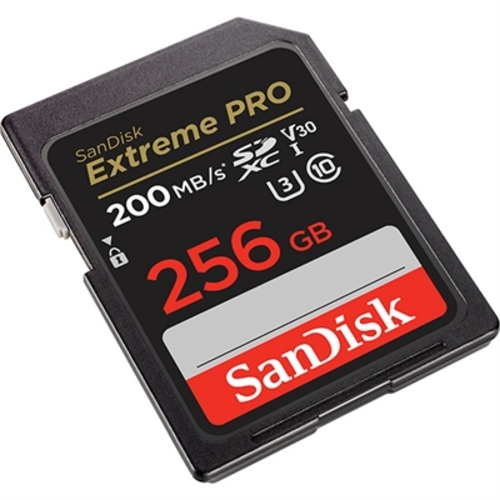 5288769_SANDISK_SDSDXXD256GANCIN.jpg-